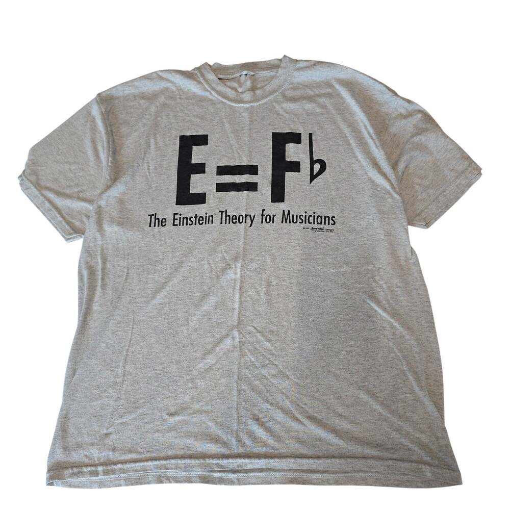 Vintage 1999 Einstein Theory For Musicians T Shirt Grey L Nerdcore 90s 4375